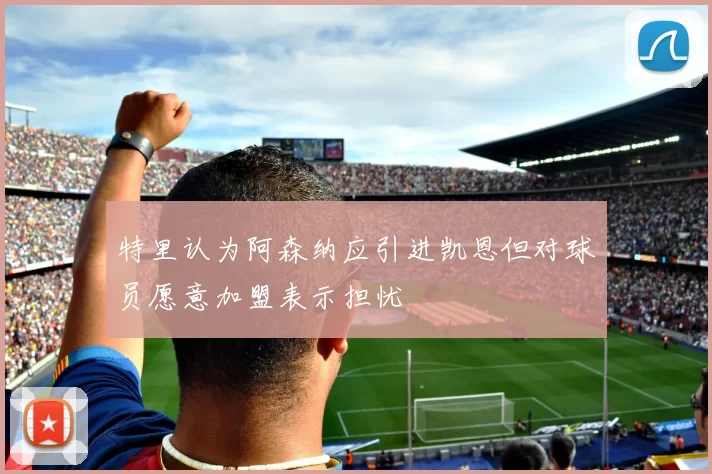特里认为阿森纳应引进凯恩但对球员愿意加盟表示担忧